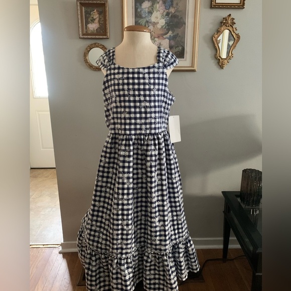 Blueberi Boulevard Navy and White Gingham Sundress - Picture 11 of 13